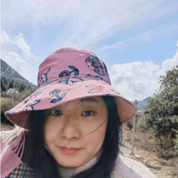 Wang Mi